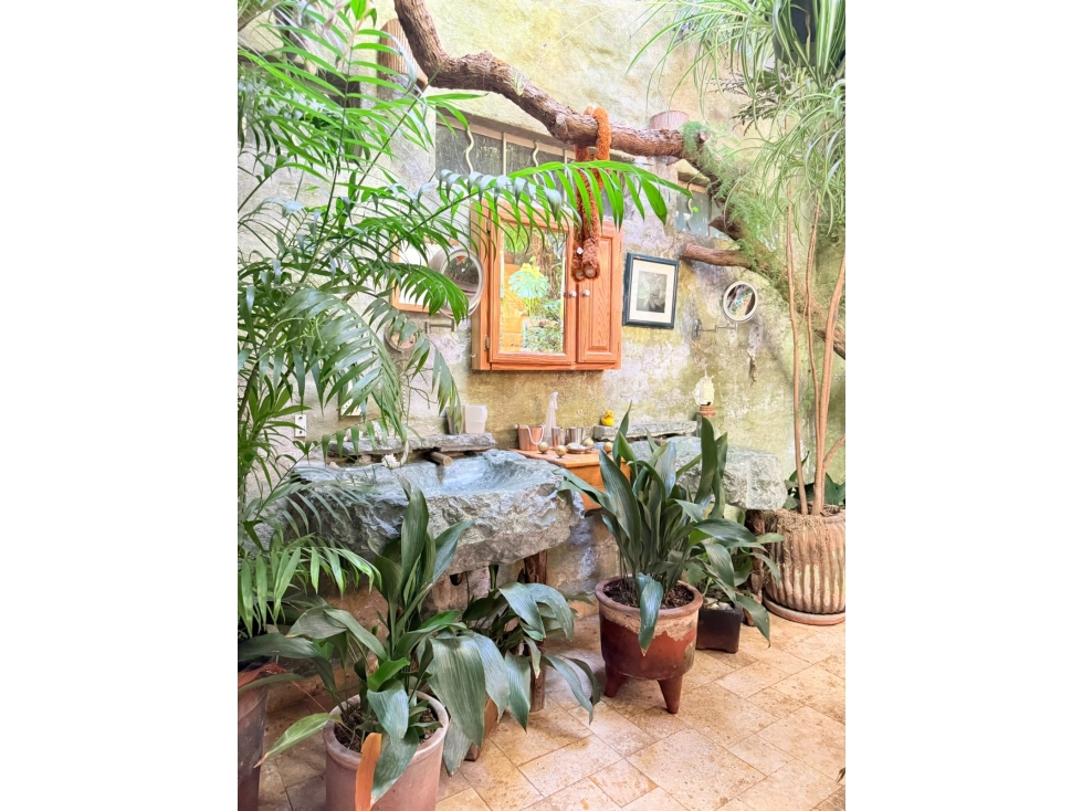 CASA ARMONIA - DESIERTO DE LOS LEONES CDMX - 5