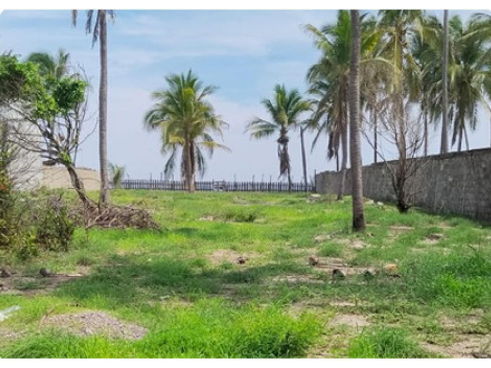 SE VENDE TERRENO EN COYUCA DE BENÍTEZ,GUERRERO. - 2