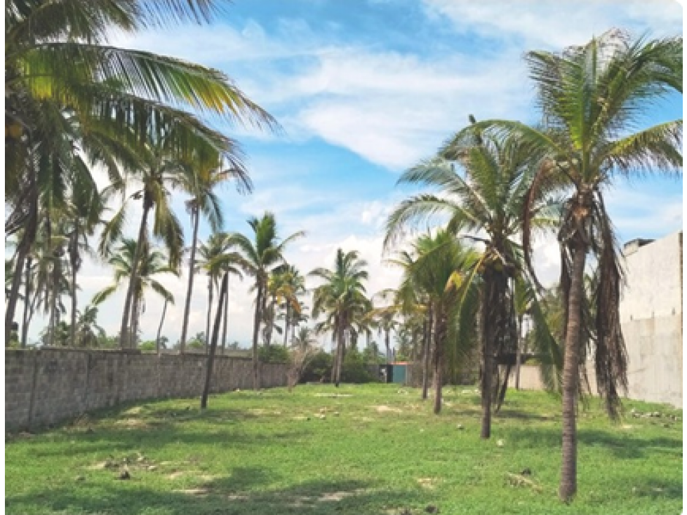 SE VENDE TERRENO EN COYUCA DE BENÍTEZ,GUERRERO. - 3
