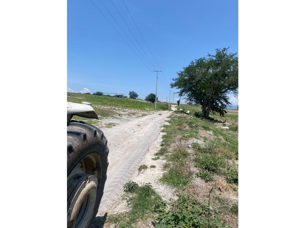 SE VENDE TERRENO EN MAZATEPEC, MORELOS - 2