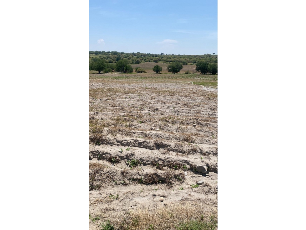 SE VENDE TERRENO EN MAZATEPEC, MORELOS - 3