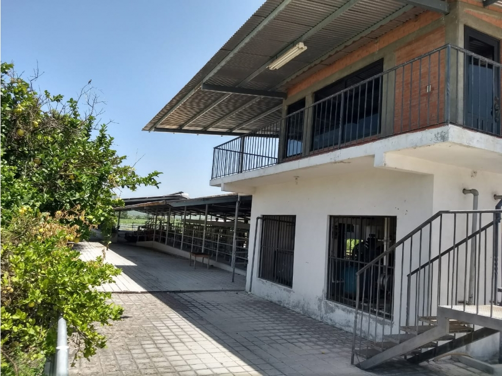SE VENDE RANCHO EN MOYOTEPEC,MORELOS - 5