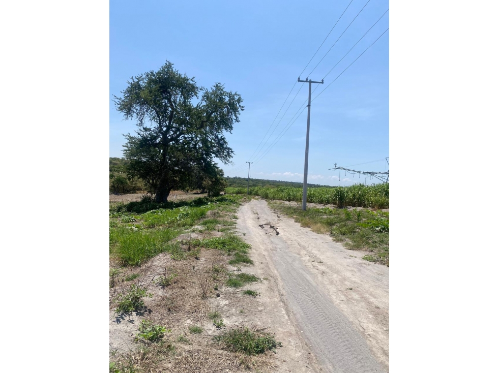 SE VENDE TERRENO EN MAZATEPEC, MORELOS - 5