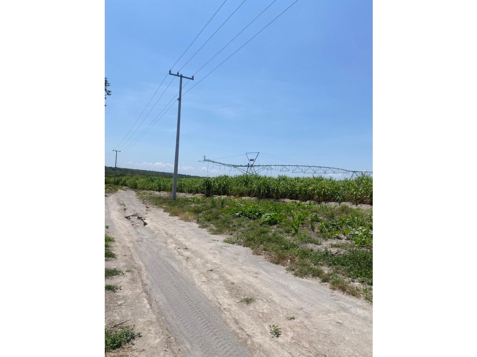 SE VENDE TERRENO EN MAZATEPEC, MORELOS - 6