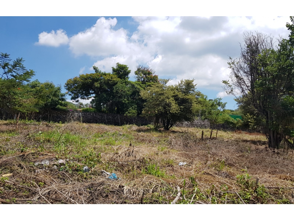 SE VENDE TERRENO EN TAMOANCHÁN,JIUTEPEC,MORELOS - 4