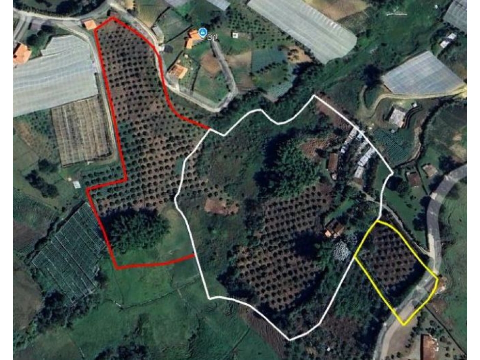 Vendo finca en Marinilla (Antioquia) con cultivo de Aguacate Hass