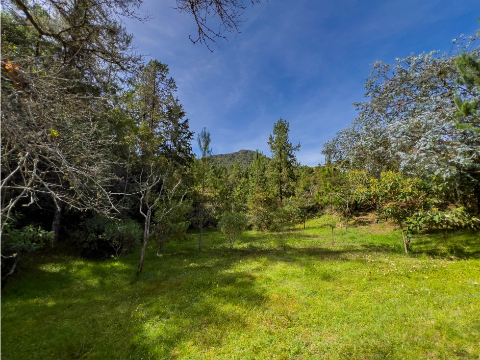 Lote de 5000 m2 con bosque - Sector Viva Palmas, Alto de las Palmas