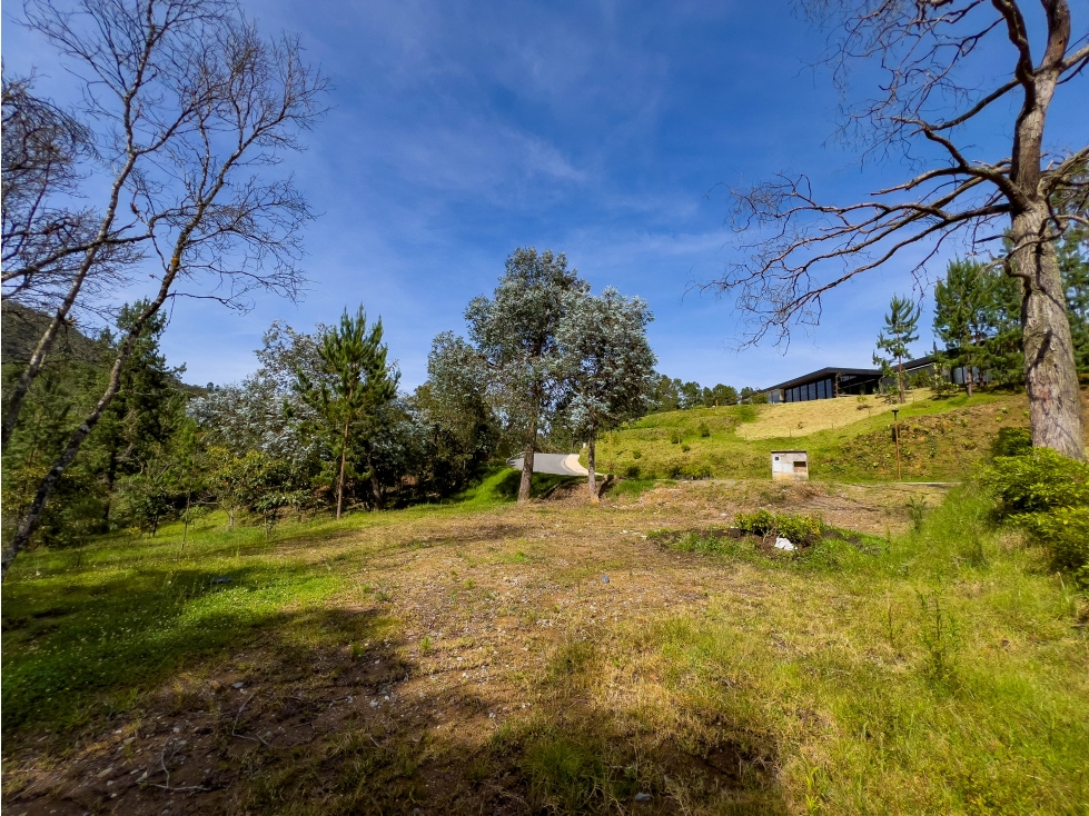 Lote de 5000 m2 con bosque - Sector Viva Palmas, Alto de las Palmas — foto 2