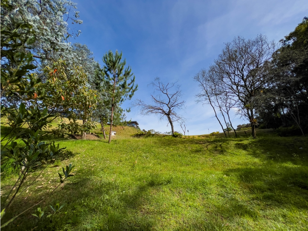 Lote de 5000 m2 con bosque - Sector Viva Palmas, Alto de las Palmas — foto 3