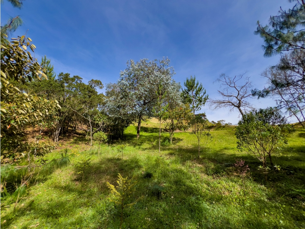 Lote de 5000 m2 con bosque - Sector Viva Palmas, Alto de las Palmas — foto 4