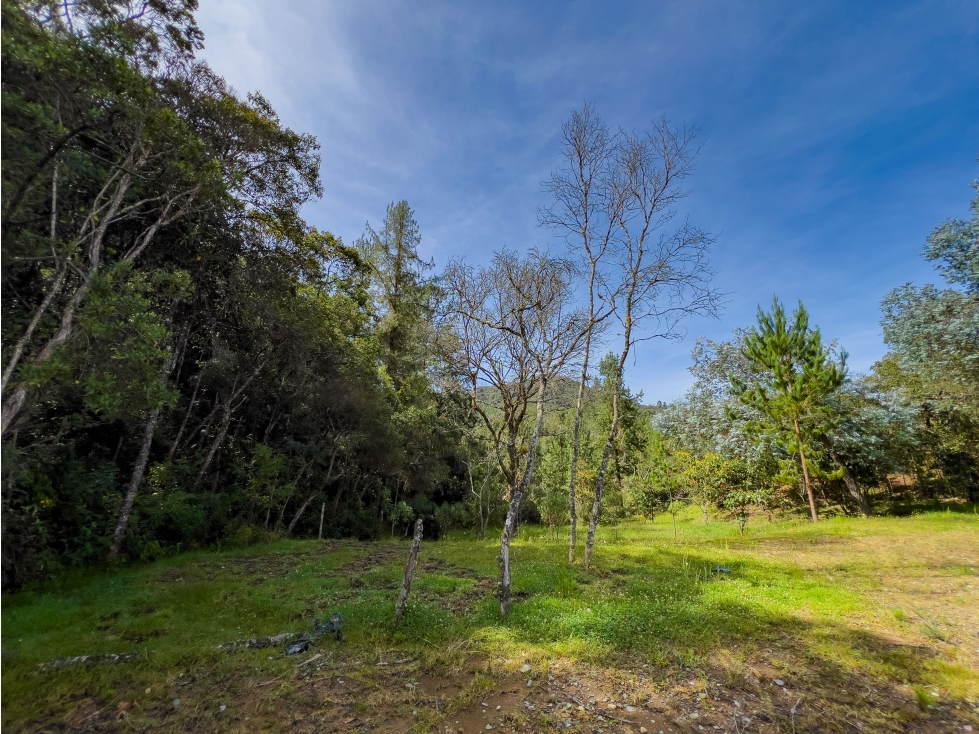 Lote de 5000 m2 con bosque - Sector Viva Palmas, Alto de las Palmas — foto 5