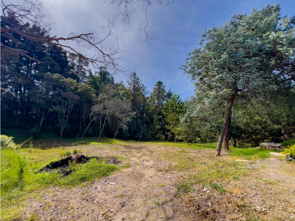 Lote de 5000 m2 con bosque - Sector Viva Palmas, Alto de las Palmas — foto 6