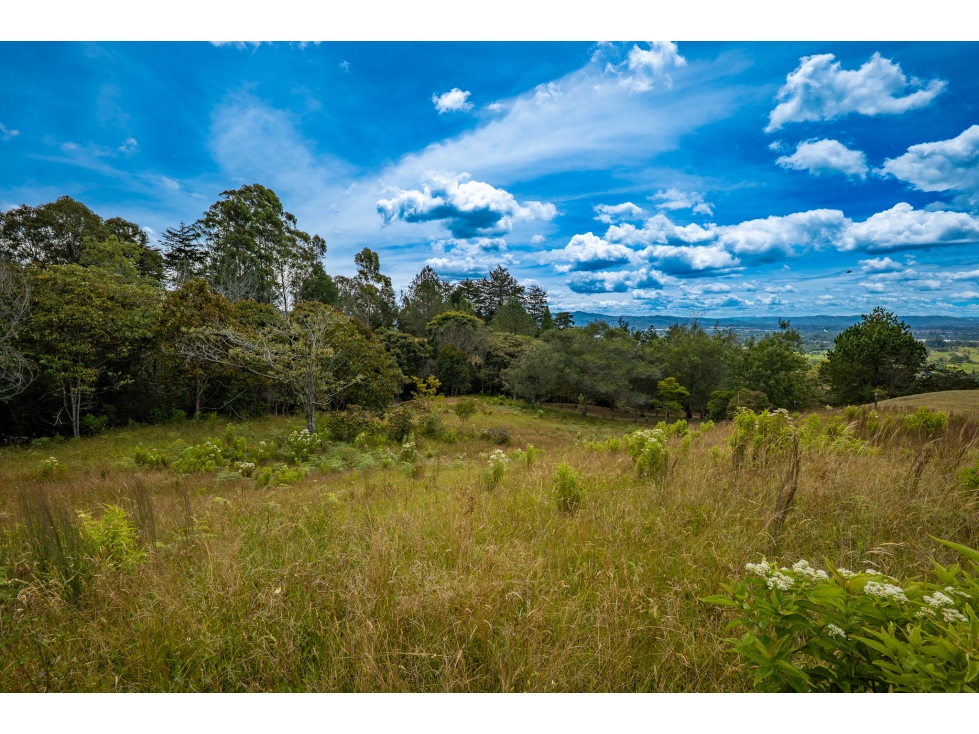 EN VENTA - Lote de 10.172 m2 en Rionegro - Cerro Capiro — foto 3