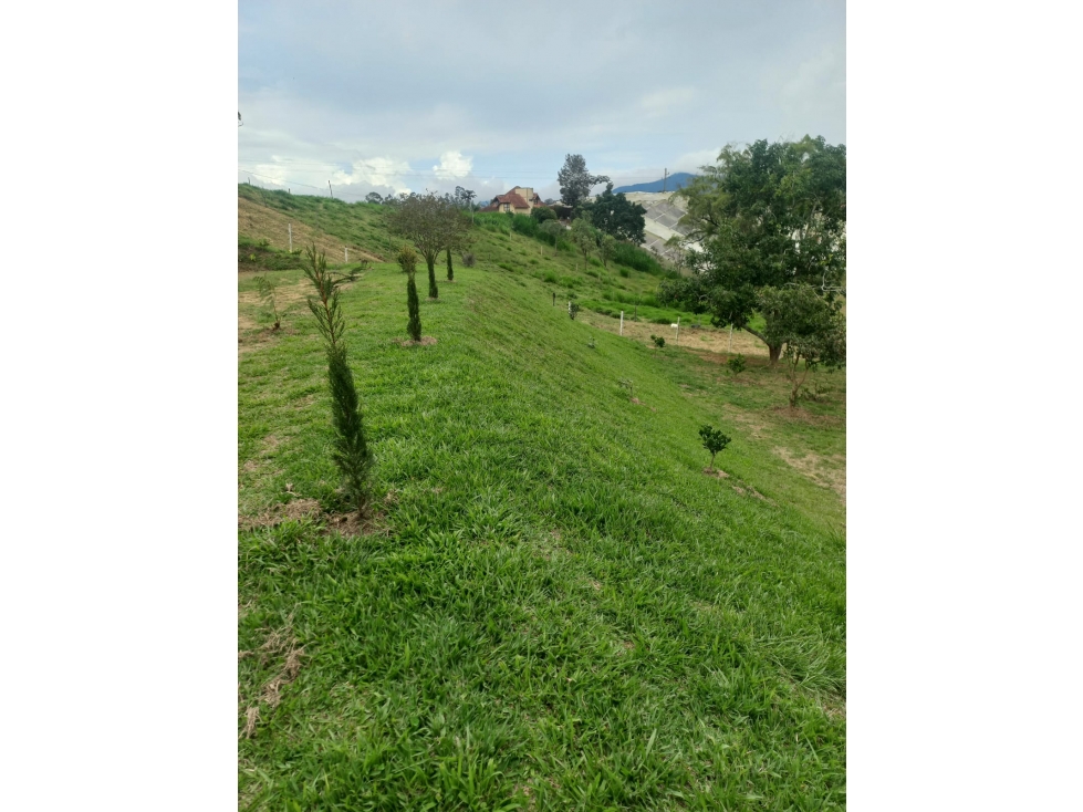 Lote en Venta, El Carmen