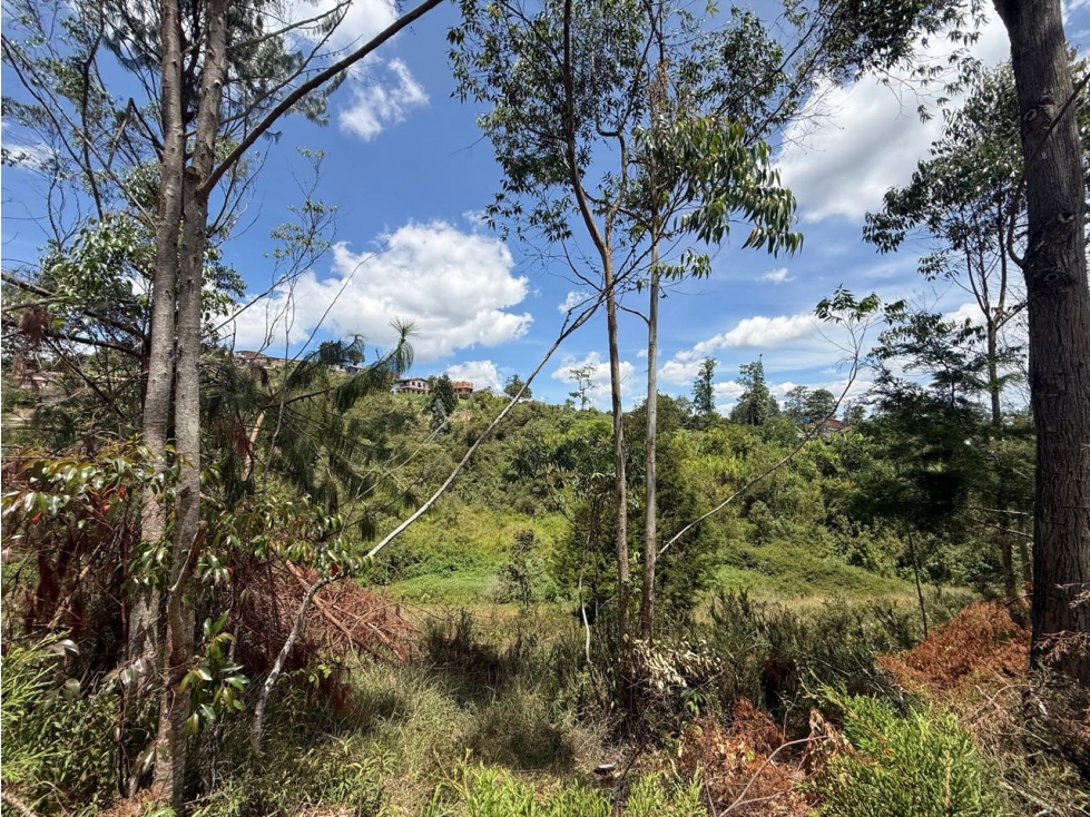 Finca con lote, en venta — foto 6