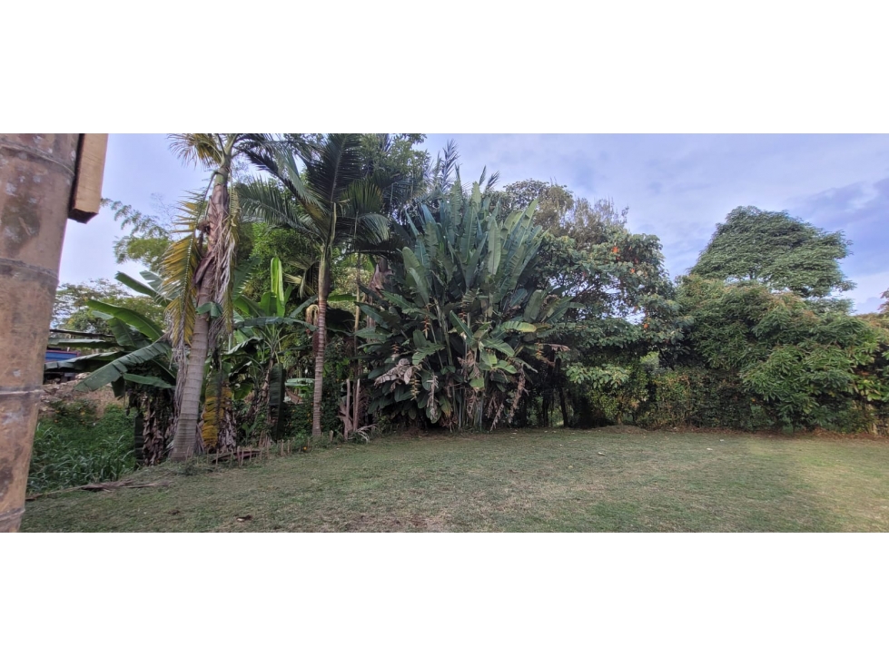 Lote para arriendo en Rionegro.