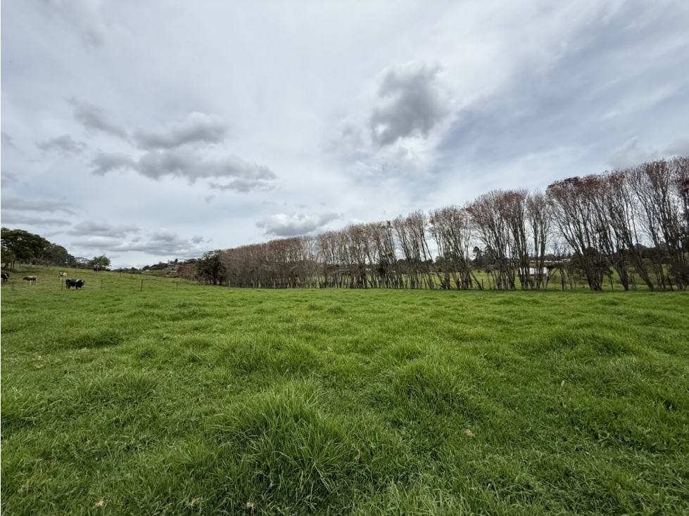 Lote en venta Via Rionegro el Carmen