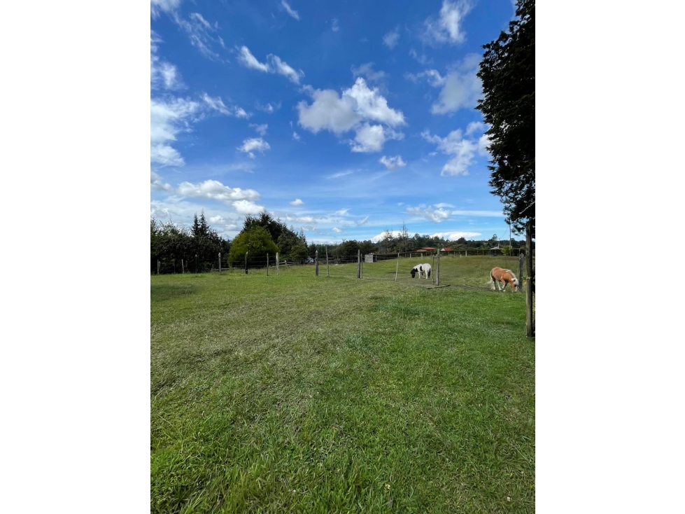 Finca en arriendo, La mosquita, Rionegro — foto 6