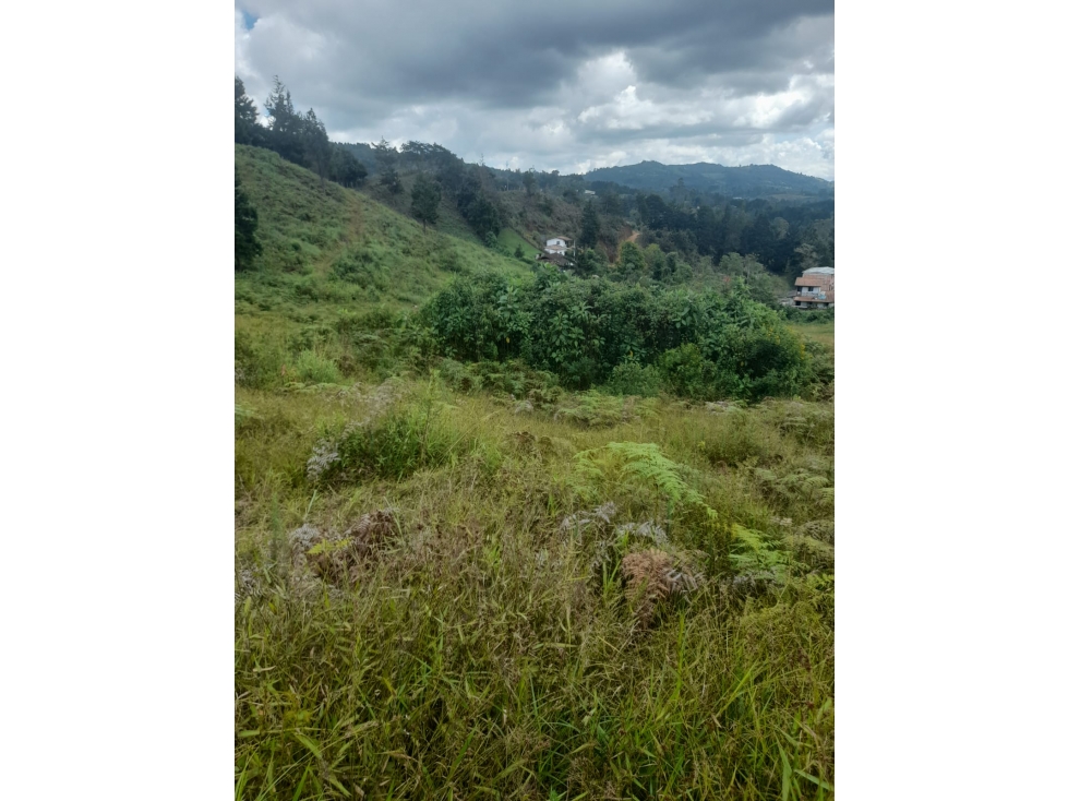 Lote en Venta, Guarne — foto 2