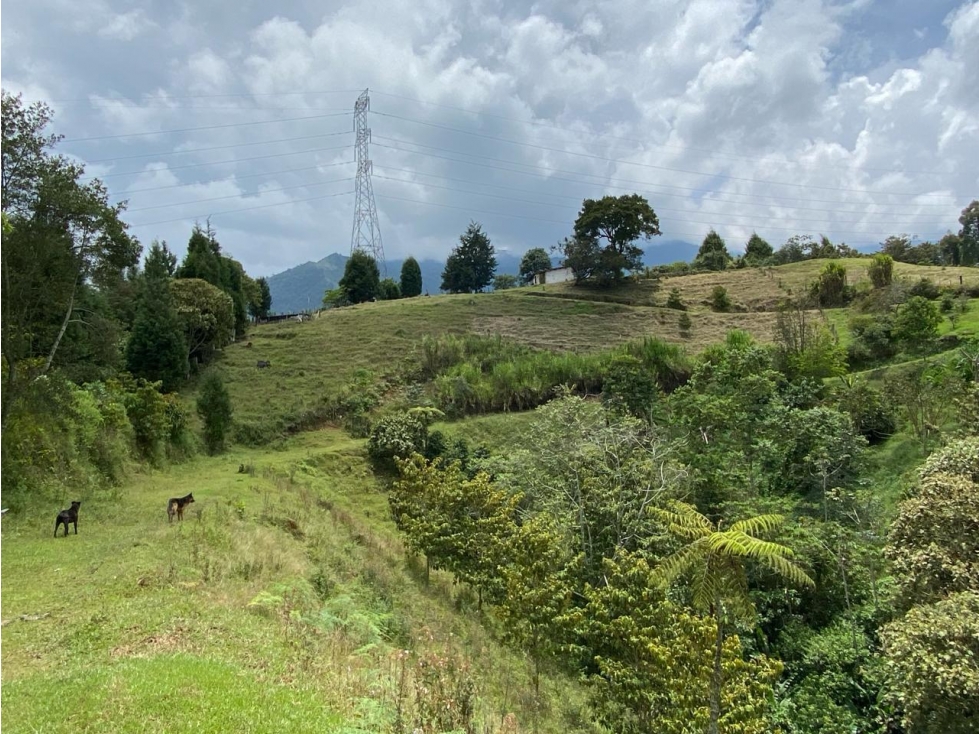 LOTE EN VENTA - EN CALDAS — foto 2