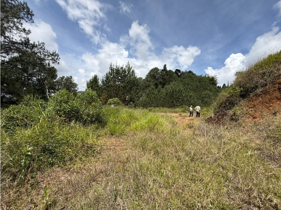 Lote en venta, Guarne — foto 3