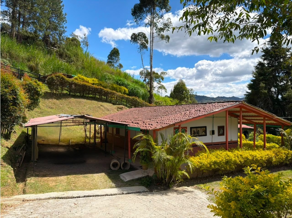 Fina en venta, Guarne