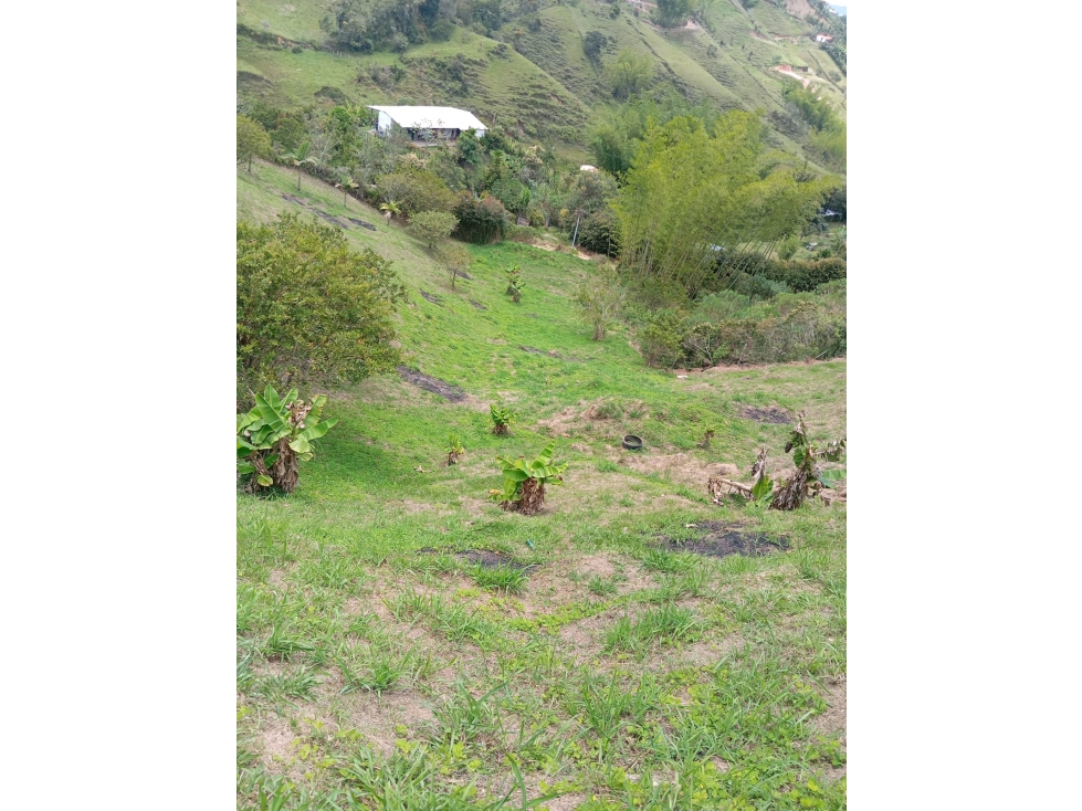 LOTE EN VENTA EN EL PEÑOL — foto 2