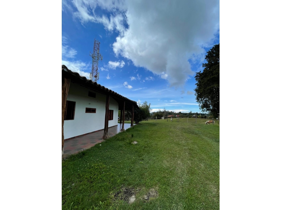 Finca en arriendo, La mosquita, Rionegro — foto 4