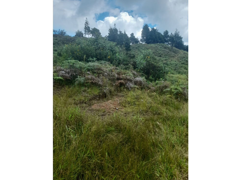 Lote en Venta, Guarne — foto 3