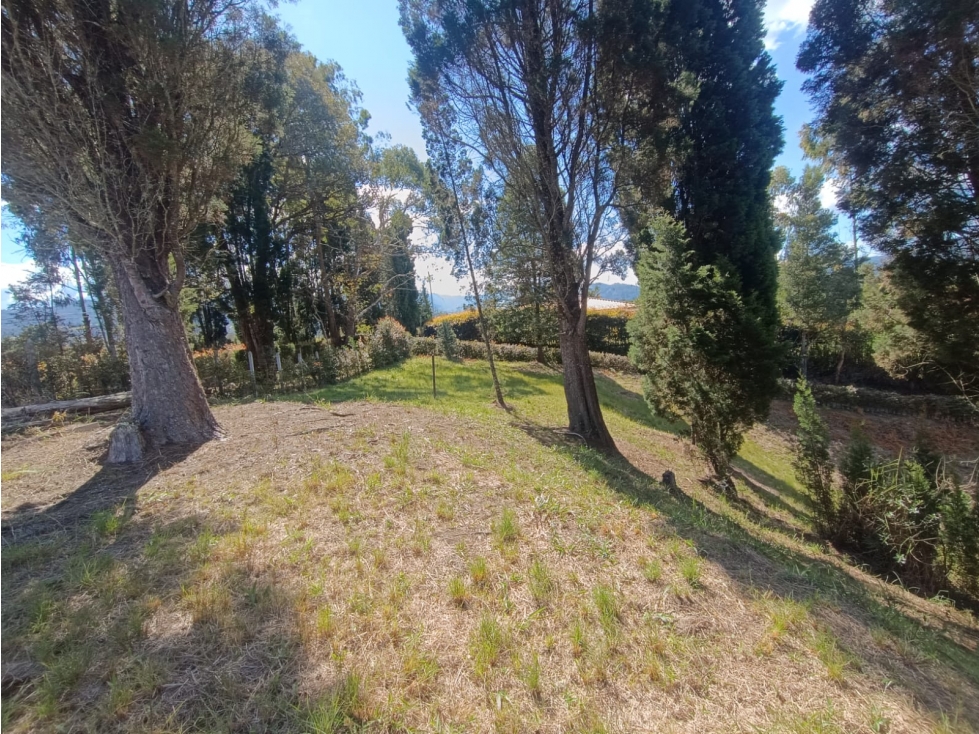 lote en venta; Guarne — foto 3