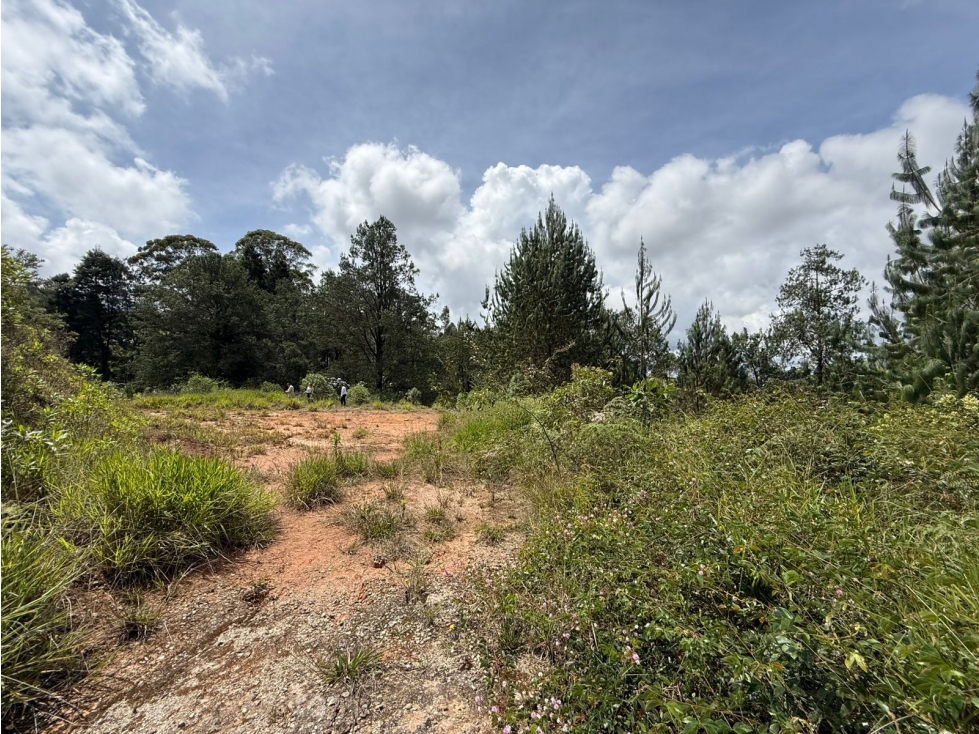 Lote en venta, Guarne — foto 4