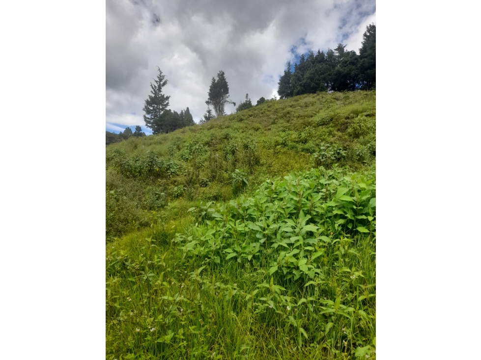 Lote en Venta, Guarne — foto 4
