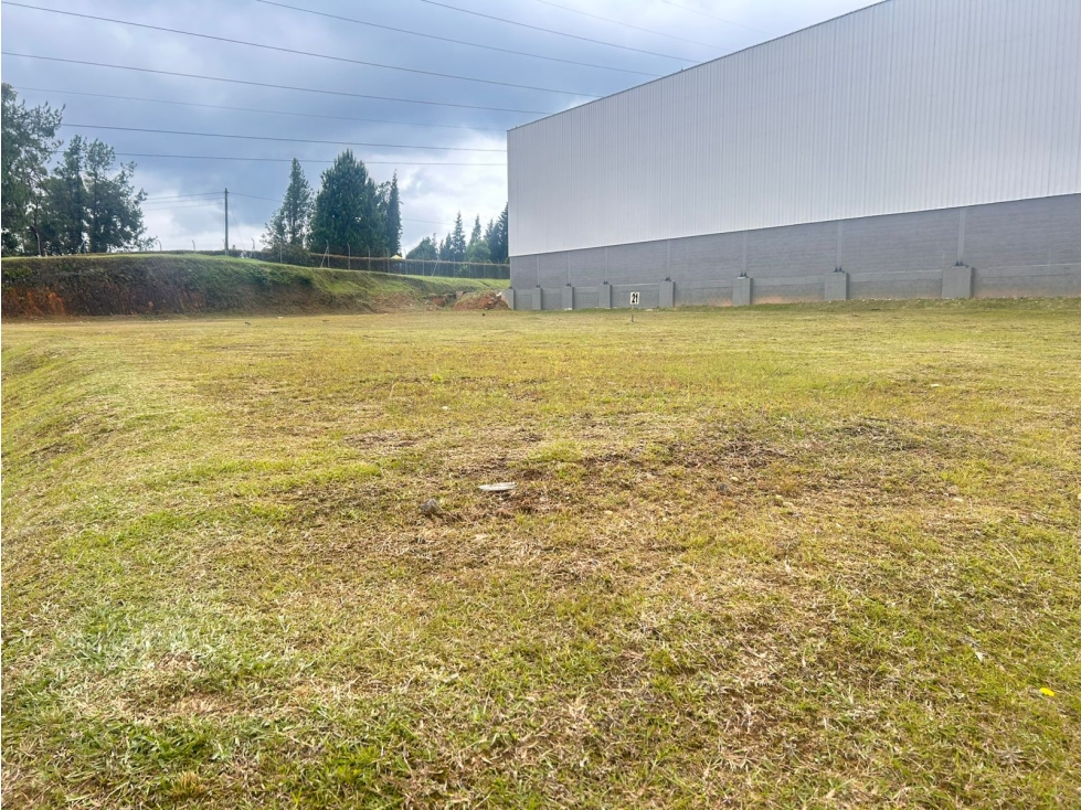 Lote en Venta/Alquiler, Guarne