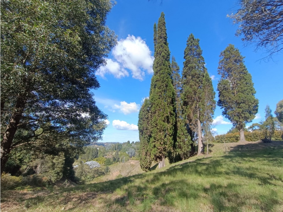 lote en venta; Guarne — foto 4