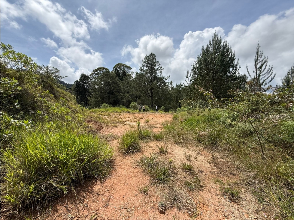 Lote en venta, Guarne — foto 5