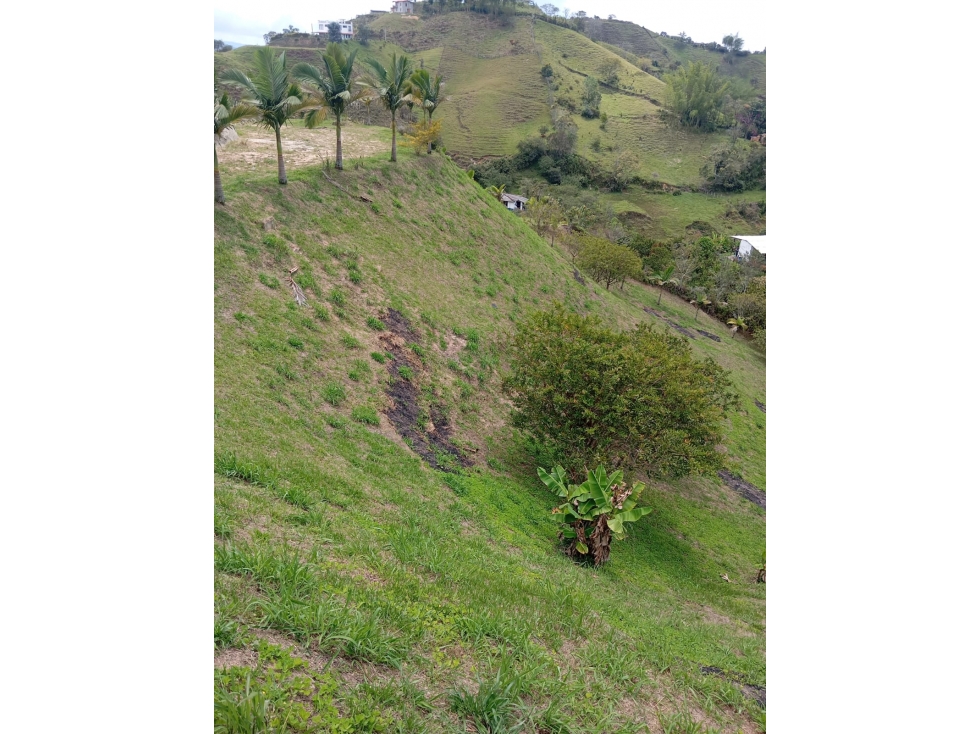 LOTE EN VENTA EN EL PEÑOL — foto 4