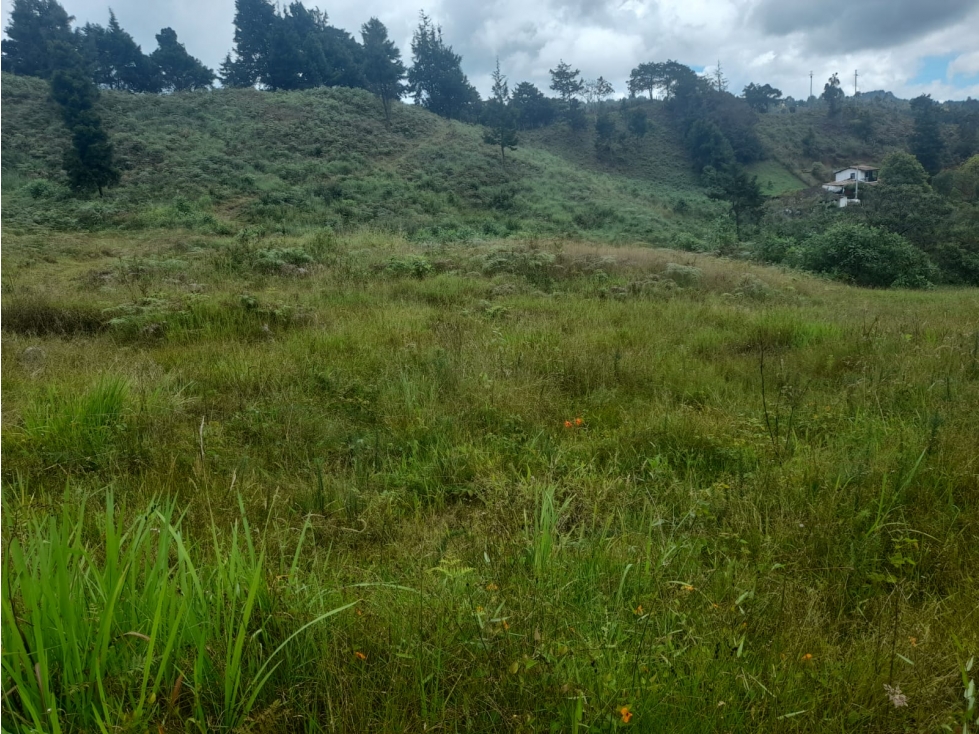 Lote en Venta, Guarne — foto 5