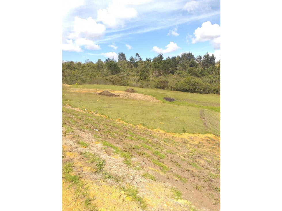 Lotes en Venta, Guarne — foto 5