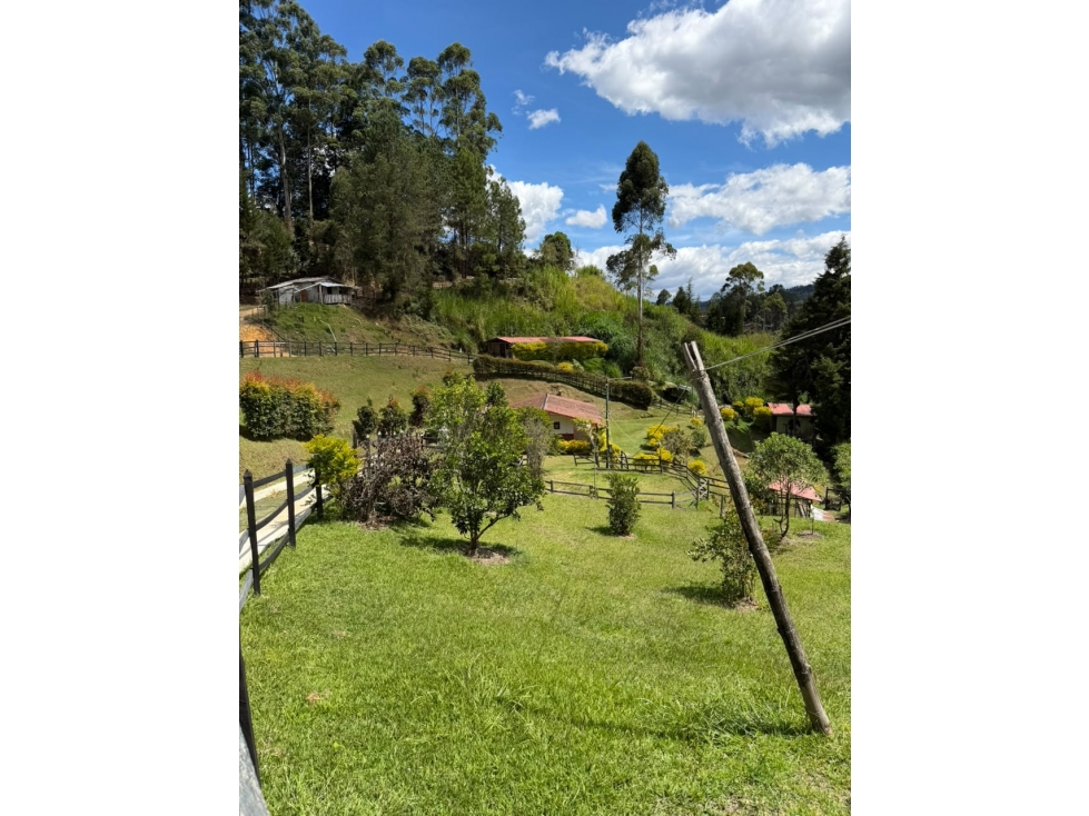 Fina en venta, Guarne — foto 3