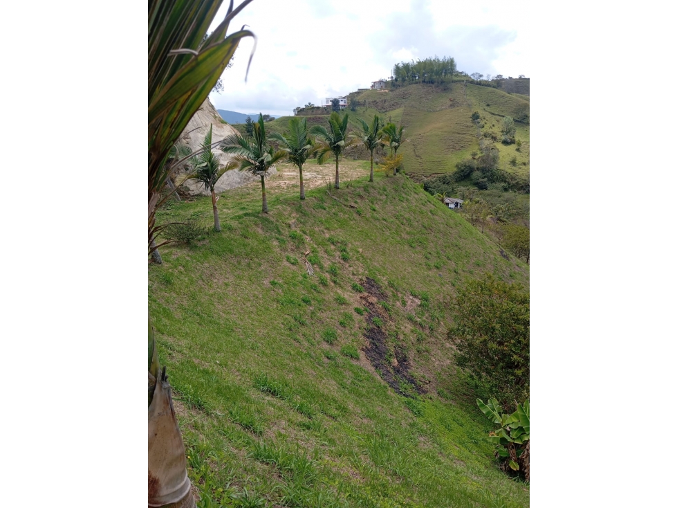 LOTE EN VENTA EN EL PEÑOL — foto 5