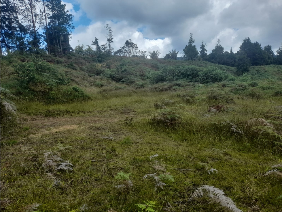 Lote en Venta, Guarne — foto 6