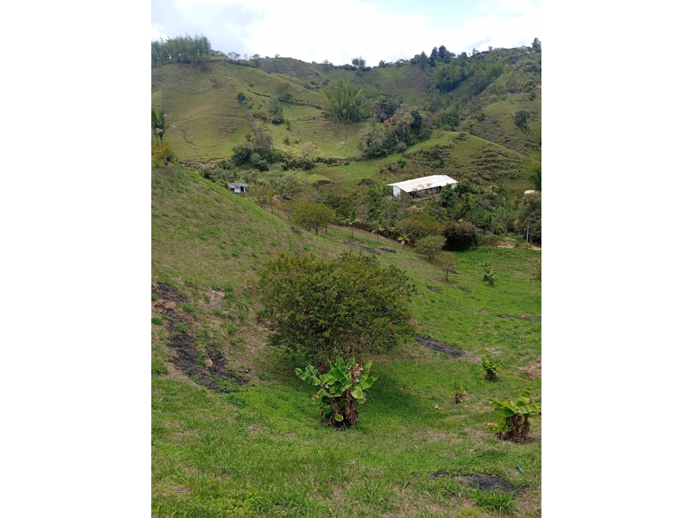 LOTE EN VENTA EN EL PEÑOL — foto 6