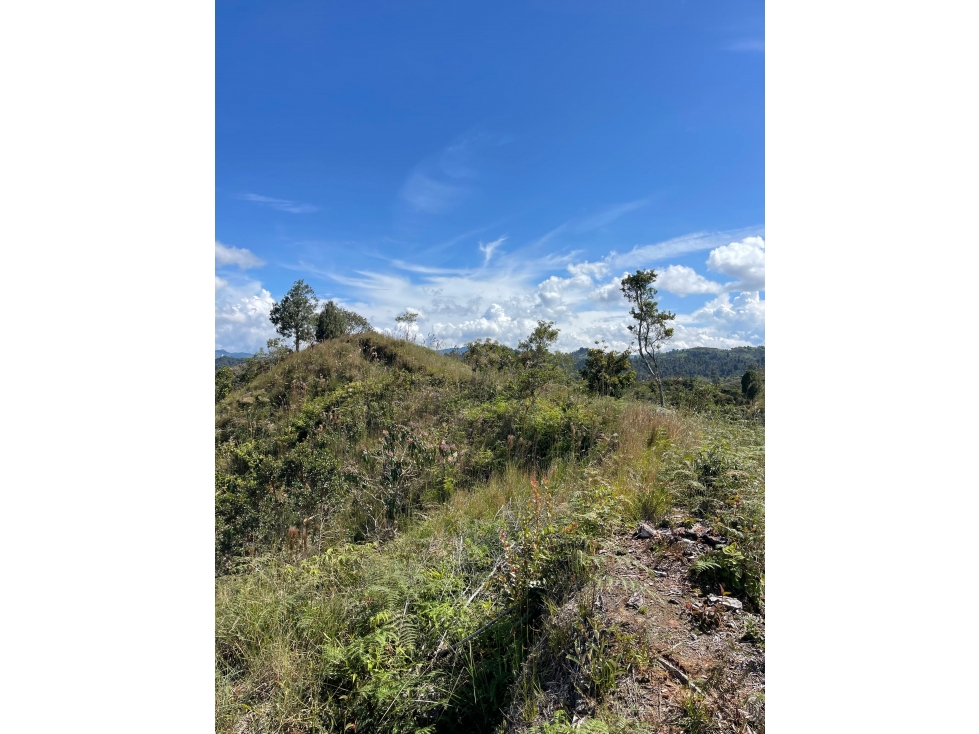 Lote en venta en Guatapé — foto 5