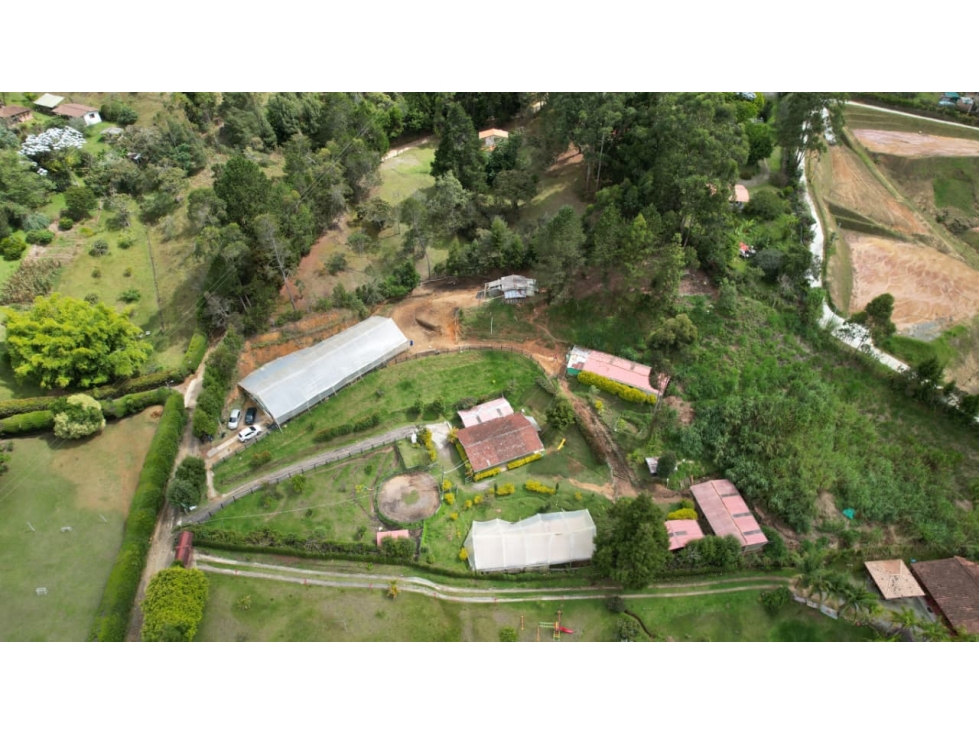 Fina en venta, Guarne — foto 6