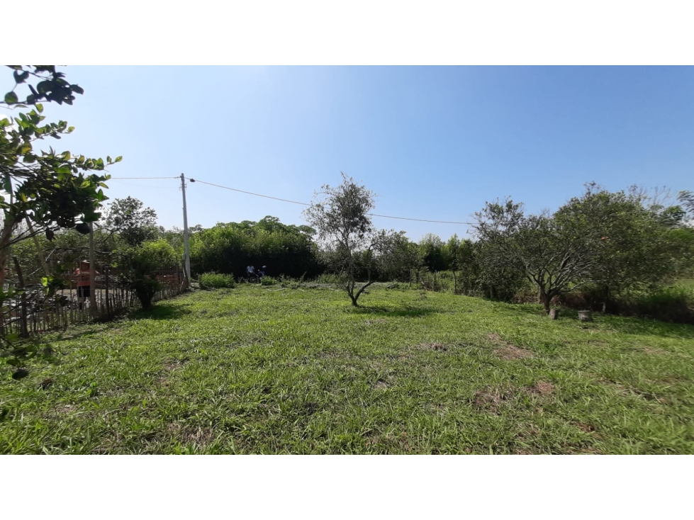 LOTE CAMPESTRE CAMPOALEGRE - ANDALUCIA - 1
