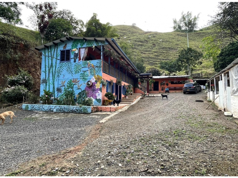FINCA LAS OLIVAS - RESTREPO - 1