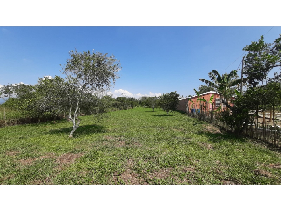 LOTE CAMPESTRE CAMPOALEGRE - ANDALUCIA - 2