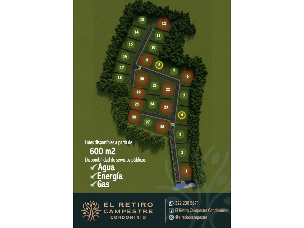 EL RETIRO CAMPESTRE - ANDALUCIA - 2