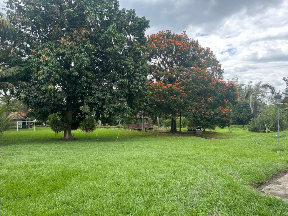 SE VENDE FINCA CAMPESTRE EL GUABITO - TULUA - 2