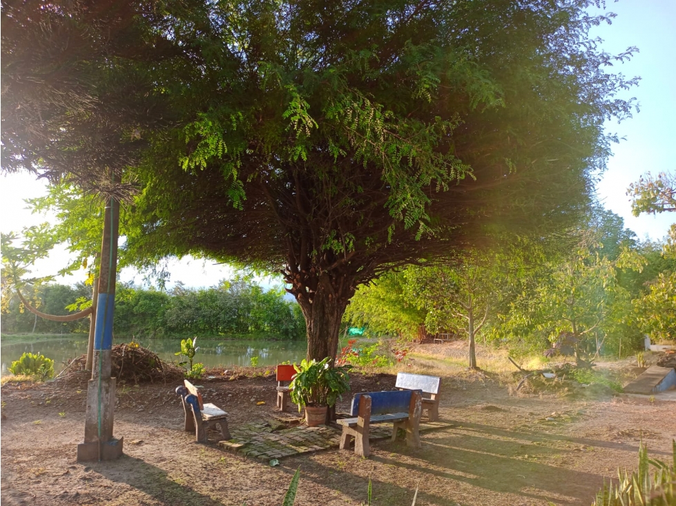SE VENDE FINCA NARIÑO - TULUA - 3